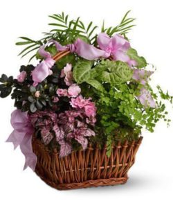 garden basket als florist hollywood fl