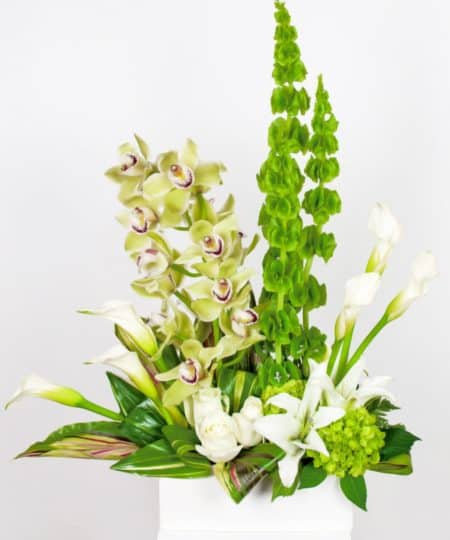 An elegant, sophisticated design of White Cymbidiums, Mini calla, White roses, mini green hydrangea, Bells of Ireland and white lillies