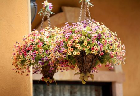 Hanging Basket of Flowers